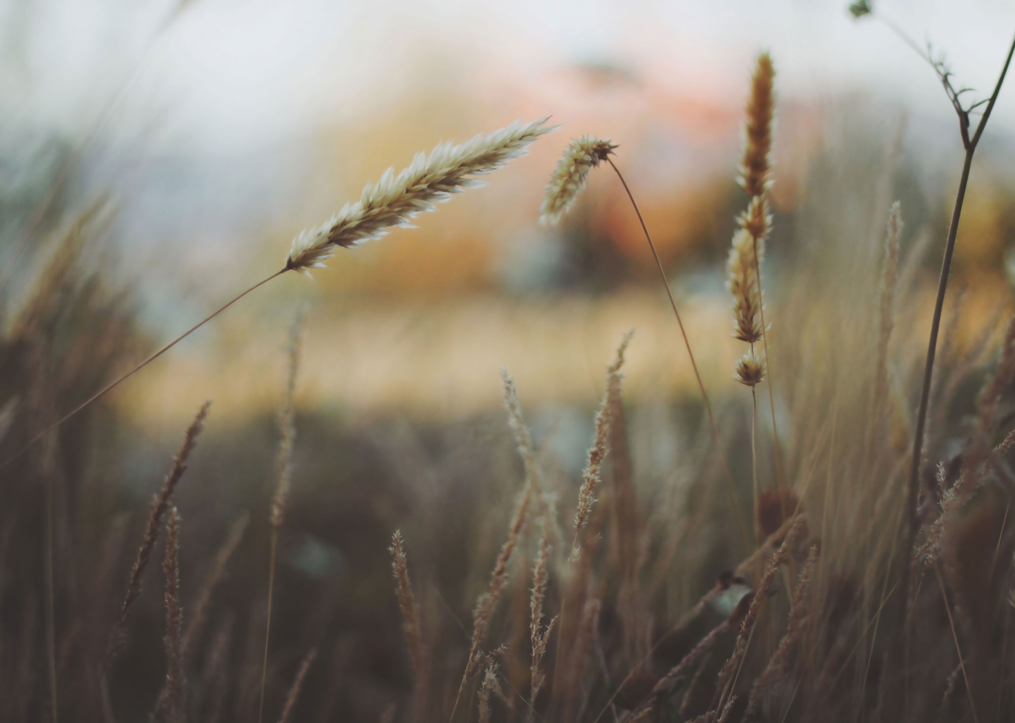 Audio Post Format With Embedded Media And Custom Sidebar