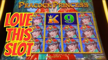 Complete Guide to the Kinghills Casino App: Download and Features