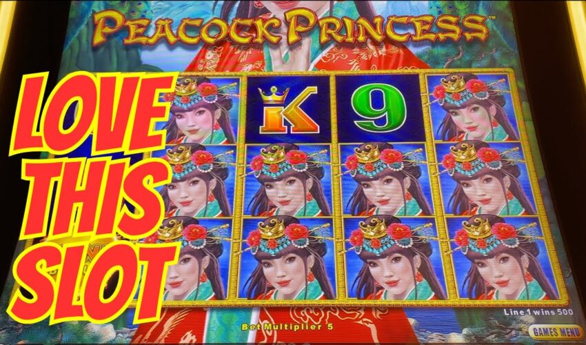 Complete Guide to the Kinghills Casino App: Download and Features