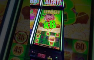 One Casino Bonus: Een Uitgebreide Gids voor Alle Promoties