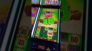 One Casino Bonus: Een Uitgebreide Gids voor Alle Promoties