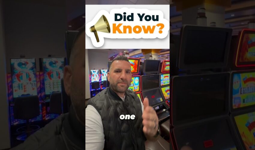 Unlocking Fun at Spinbit Casino: What You Need to Know