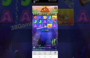 &Pi;&lambda;&omicron;ή&gamma;&eta;&sigma;&eta; &sigma;&tau;&omicron; Bassbet | &Omicron;&delta;&eta;&gamma;ό&sigmaf; &gamma;&iota;&alpha; &tau;&alpha; &Mu;&alpha;&theta;&eta;&mu;&alpha;&tau;&iota;&kappa;ά &Mu;&pi;ό&nu;&omicron;&upsilon;&sigmaf; &kappa;&alpha;&iota; &tau;&eta;&nu; &Alpha;&sigma;&phi;ά&lambda;&epsilon;&iota;&alpha; &ndash; &Beta;&alpha;&theta;&iota;ά &Alpha;&nu;ά&lambda;&upsilon;&sigma;&eta;