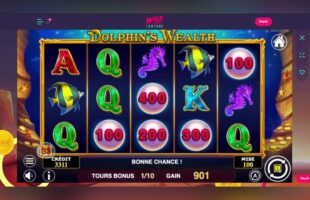 Navigating Wild Fortune Casino: Bonus Strategies and Login Fixes | Updated Guide