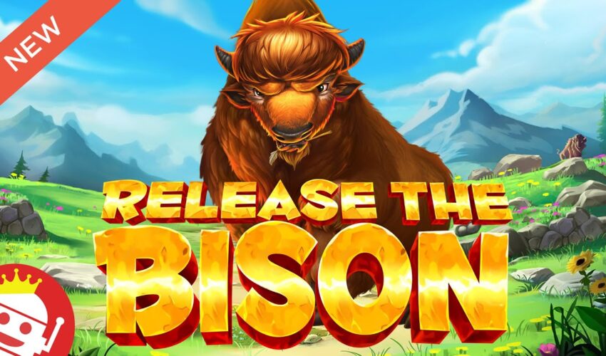 Bison casino online – Lépésről lépésre útmutató a regisztrációtól a bónuszig