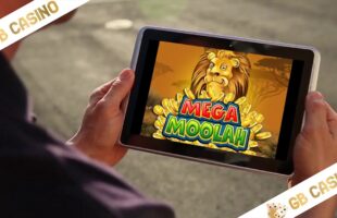 Ako začať stávkovať v Golden tiger casine – kompletný návod