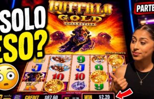 How to Get Started at River Rock Casino – Registration, Bonuses & Payments