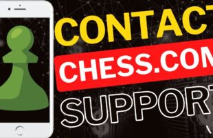 Accès au support de chat mobile WinKingdom