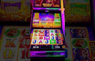 Bison Casino Movie i Branded Slots