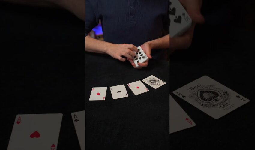Mad Casino Dream Catcher: Comment Jouer