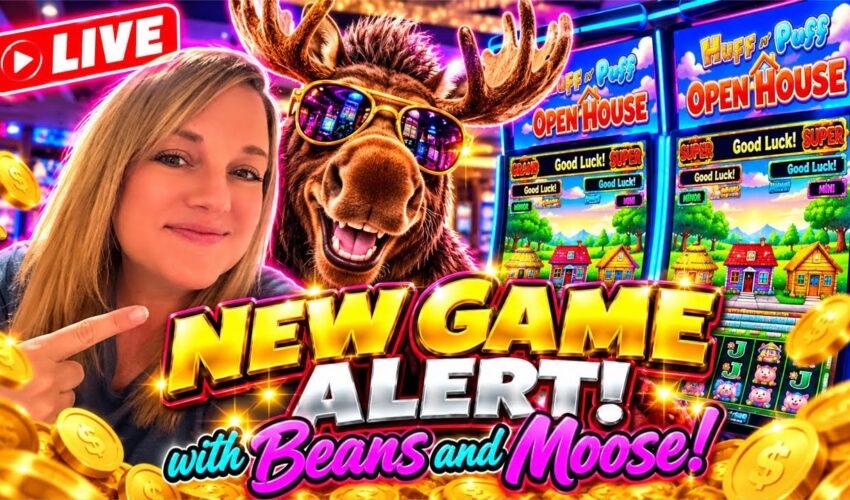 Trixino Pour Les Passionnés De Live Casino